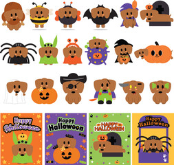 Fototapeta premium Dachshund Halloween Dog Costumes