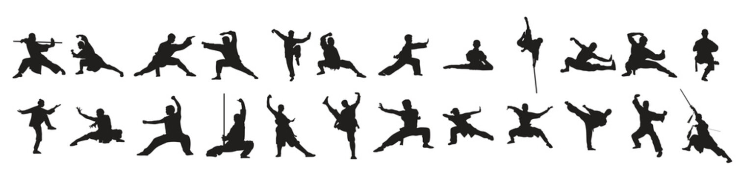 illustration of kung fu s martial arts vector set
