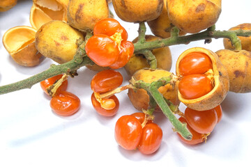 Baccaurea motleyana fruit is a fruit that tastes sour sweet.
