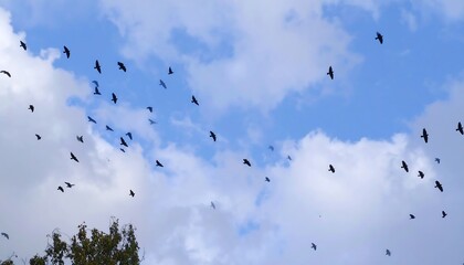 Fototapeta premium Flock of birds against a partly cloudy sky