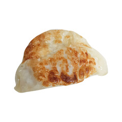 Single Delicious Golden Brown Pan-Fried Korean Dumpling