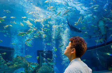 Man Looking Up at Schools of Fish in Large Public Aquarium. A Man from behind gazes upward, captivated by countless fish swimming in massive, blue aquarium with bubbles, creating underwater experience
