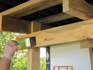 Treatment of wood against insects and mold. © Stas