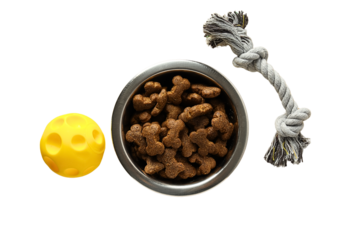 Dog treats and toys on a clear background, isolated on white, PNG