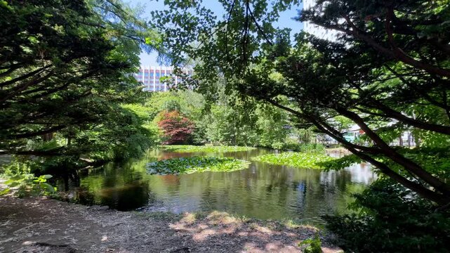 Calm Sapporo Park Scenery with Lush Greenery and Reflective Pond