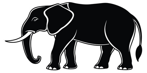 Fototapeta premium Majestic african elephant silhouette standing proudly against white background