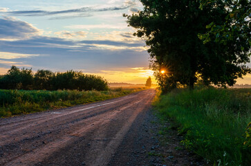 Rural dirt road at sunrise with golden light and trees in countryside landscape. Scenic dirt road at sunrise with golden sunlight, trees, and misty countryside atmosphere in summer morning.