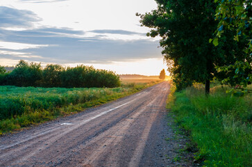 Rural dirt road at sunrise with golden light and trees in countryside landscape. Scenic dirt road at sunrise with golden sunlight, trees, and misty countryside atmosphere in summer morning.