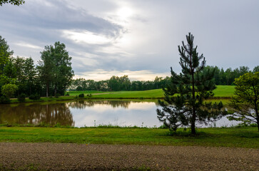 Tranquil countryside pond with reflections and cloudy summer sky. Still pond in rural landscape with pine trees, cloudy sky, and green fields in soft evening light