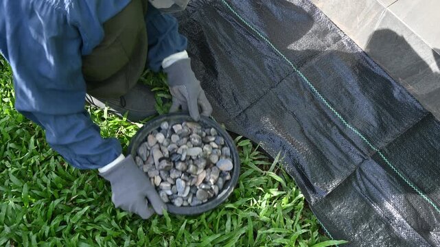 Gardener using black plastic sheeting and rocks for preventing weed growth by covered soil. It works by blocking sunlight, which is essential for plant growth, and essentially suffocating weeds.