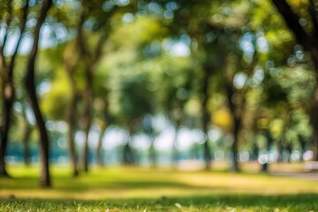 Blurred park scene, sunlit trees and grass