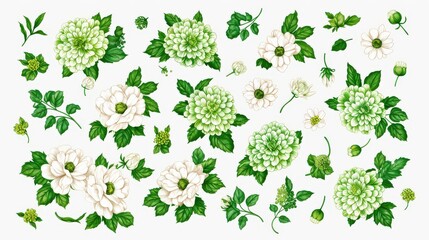 Vintage-style seamless floral pattern in green, showcasing detailed engravings of chrysanthemums, asters, dahlias, zinnias, and dogwood berries.