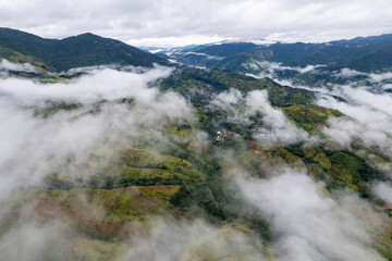 Landscape of Morning Mist with Mountain Layer. mountain ridge and clouds in rural jungle bush forest