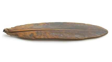 Obraz premium Close-up of a single, dried feather.