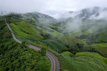 Fototapeta premium Landscape of Morning Mist with Mountain Layer. mountain ridge and clouds in rural jungle bush forest
