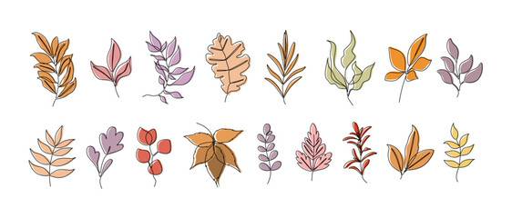 Set of twigs and leaves on a white background. Line Art. Vector.