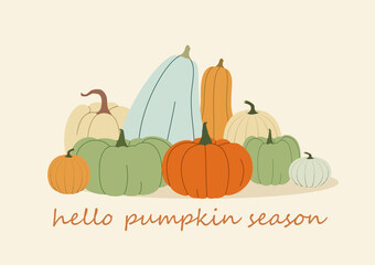 Hello pumpkin season. Poster with minimalist pumpkins. Vector.
