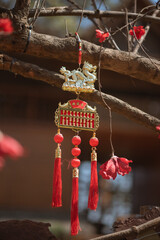 Beautiful Chinese New Year decorations