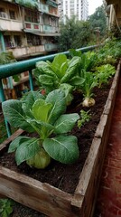 Urban Balcony Garden with Growing Vegetables