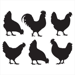 Hen Silhouette Chicken Vector Silhouette Design 