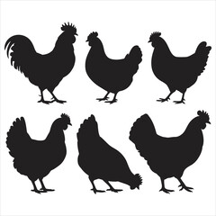 set of chicken silhouettes