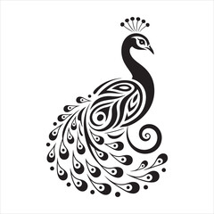 black and white peacock