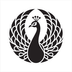 black and white peacock