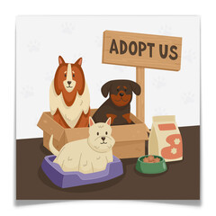 Adopt Us Poster with Cute Dogs in Cardboard Box.