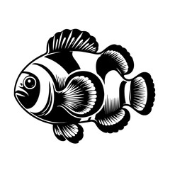 Fototapeta premium Black and White Clownfish Illustration.