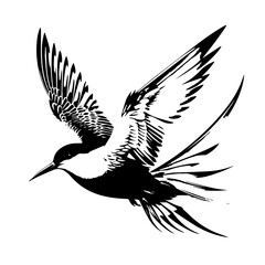 Elegant Black and White Bird in Flight.
