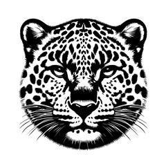 Striking Black and White Leopard Face Portrait.