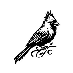 Stylized Black and White Cardinal Bird Perched.