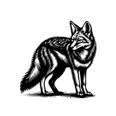 Stylized Black and White Coyote Illustration.
