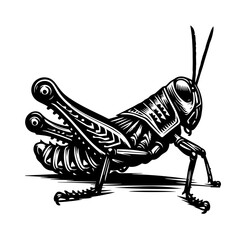 Stylized Black and White Grasshopper Illustration.