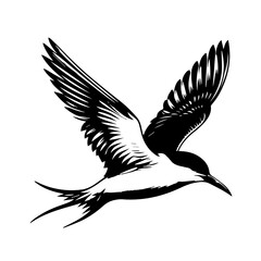 Obraz premium Stylized Black and White Tern in Flight.