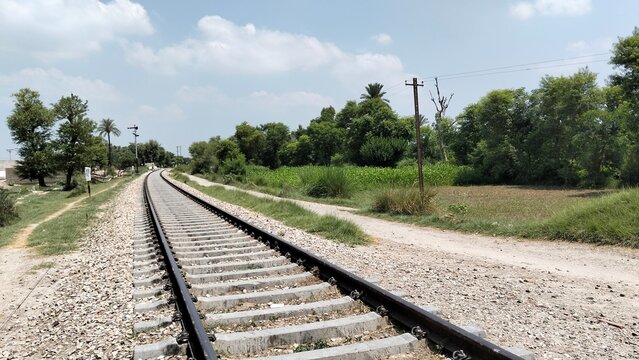 railroad tracks in the forest