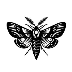 Stylized Black Moth Silhouette with Intricate Wing Patterns.