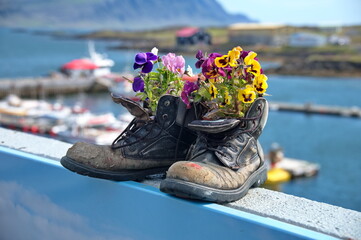 Old hiker shoes decorated with flowers on the wall