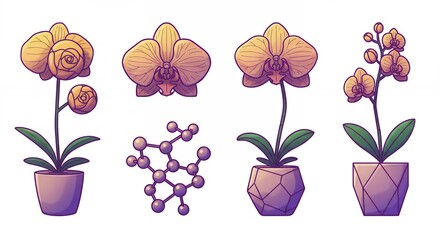 Orchid plants illustration set with decorative pots