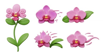 Pink orchid illustrations set animated flower graphics