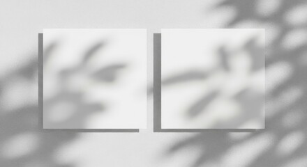 Two square cards mockup with leaf shadows isolated on white background