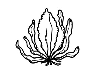 vector illustration of a hand