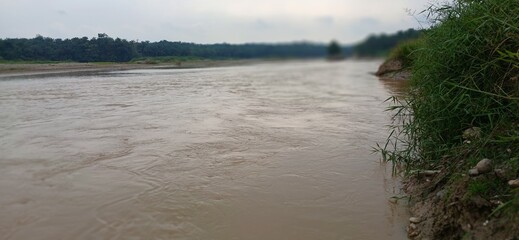 A wide, muddy river flows past a distant bank lined with lush tropical trees under an overcast sky.