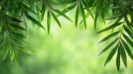 Obraz premium Lush Green Leaves Background Image Vibrant Foliage and Natural Textures