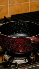 Simmering cauldron of culinary dreams on rustic stovetop, evoking nostalgic alchemy and Lunar New Year warmth, unspoken stories brewing