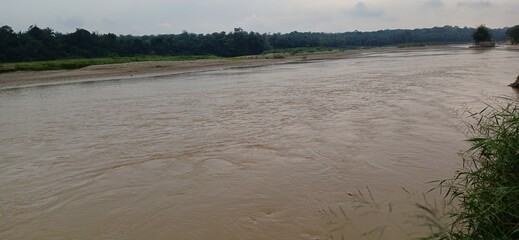 A wide, muddy river flows past a distant bank lined with lush tropical trees under an overcast sky.