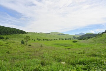 夏空と緑が広がる車山高原／長野県