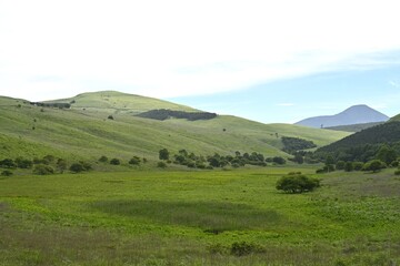夏空と緑が広がる車山高原／長野県