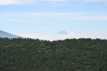 夏空と緑が広がる車山高原／長野県