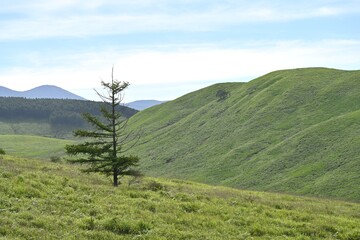 夏空と緑が広がる車山高原／長野県